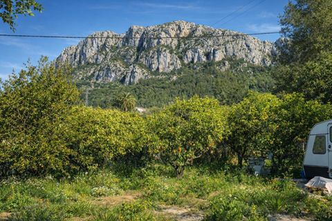 Tomt i Benimeli, Alicante, Benimeli - € 83 000 | Ref: PNPT297 - foto 9